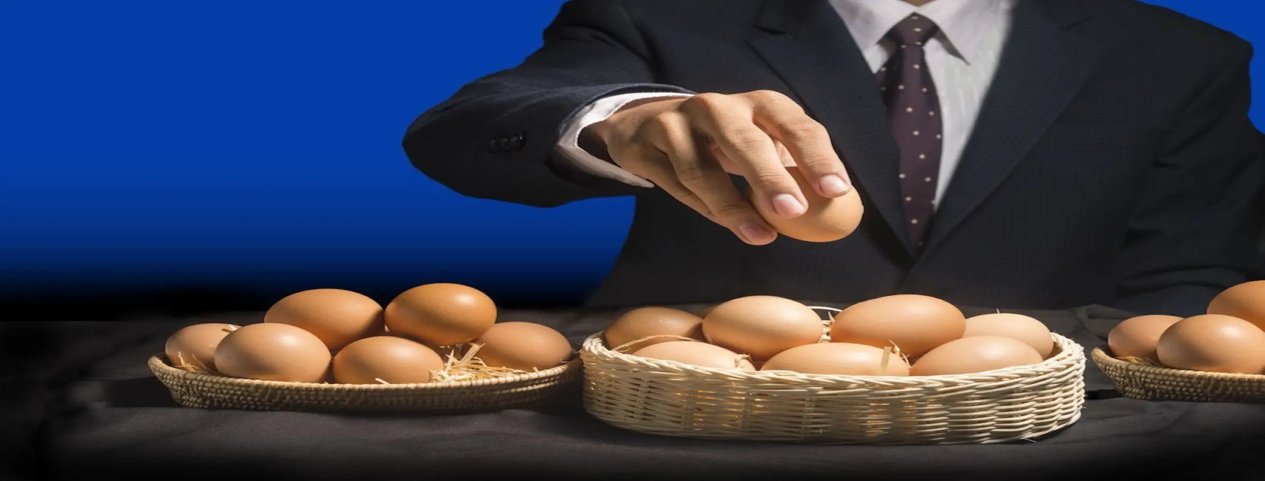 Image for Diversification